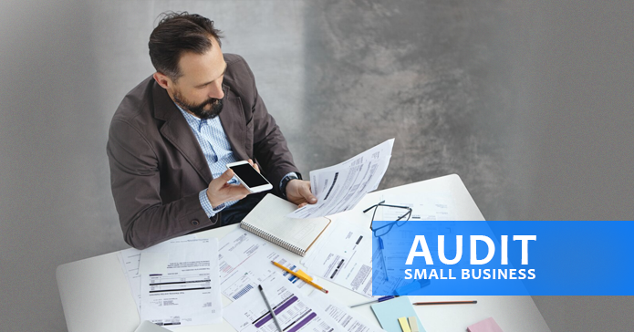 Audit small business | Debitam - Online Account Filing